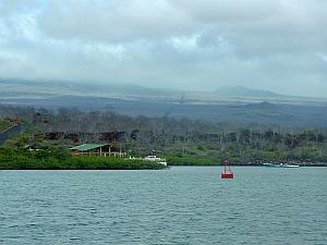 Goodbye, Santa Cruz island, I will miss you and I will miss the Galapagos.